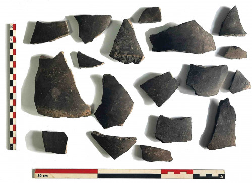 Fig. 8. Fragmente de ceramică neagră lustruită Cx3